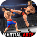 Martial Arts Fight Games 24