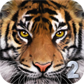 Ultimate Tiger Simulator 2