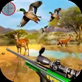 Duck Hunting 3D