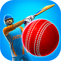 Cricket League