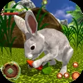 Pet Bunny Rabbit Forest Life