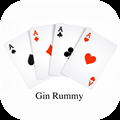 Cards Gin Rummy