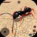 Ant Insect Bug Life Simulator