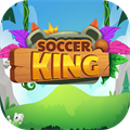 King Soccer Funny