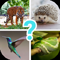 Animals quiz guess mammals zoo