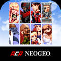 AERO FIGHTERS 2 ACA NEOGEO