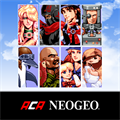 AERO FIGHTERS 2 ACA NEOGEO