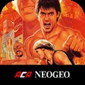 BURNING FIGHT ACA NEOGEO