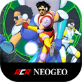 SOCCER BRAWL ACA NEOGEO