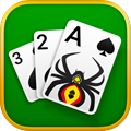 Spider Solitaire Card Games