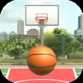 Basketball Court Dunk Shoot