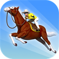 Horse Race Master 3d