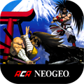 SAMURAI SHODOWN V SPECIAL