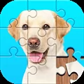 Jigsaw Puzzles Explorer