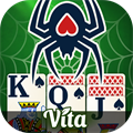 Vita Spider for Seniors