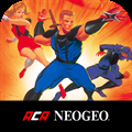 NINJA COMMANDO ACA NEOGEO