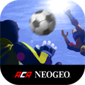 PLEASURE GOAL ACA NEOGEO