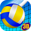 Beach Volleyball 3D