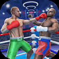 MMA Fighter Punch Champions 3D