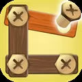 Wood Screw Pin Puzzle Game