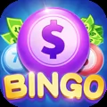 Bingo Cashday