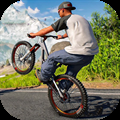 Fearless BMX Bicycle Simulator