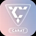 Carat