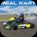 Real Kart PRO