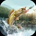 Professional Fishing 2