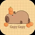 Capybara Catch