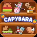 Capybara Relax Games