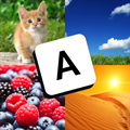 4 Pics Guess the Word Game