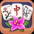 Mahjong Puzzle