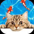 Cat Games for Cats Pets