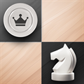 Chess Checkers Offline Game