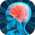 Brain Puzzle Games for Adults