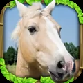 Wild Horse Simulator