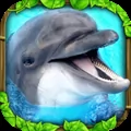 Dolphin Simulator