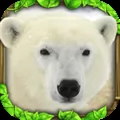 Polar Bear Simulator