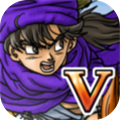 DRAGON QUEST V