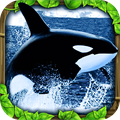 Orca Simulator