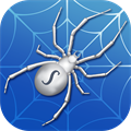 Spider Solitaire ‏‎