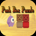 Push Box Puzzle