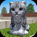 Cute Pocket Cat 3D