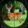 Safari Deer Hunting