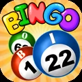 Bingo Fun Blast HD Lucky cards