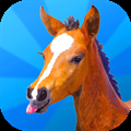 Jumpy Horse Breeding