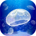 Jellyfish Aquarium