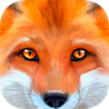 Ultimate Fox Simulator