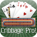 Cribbage Pro